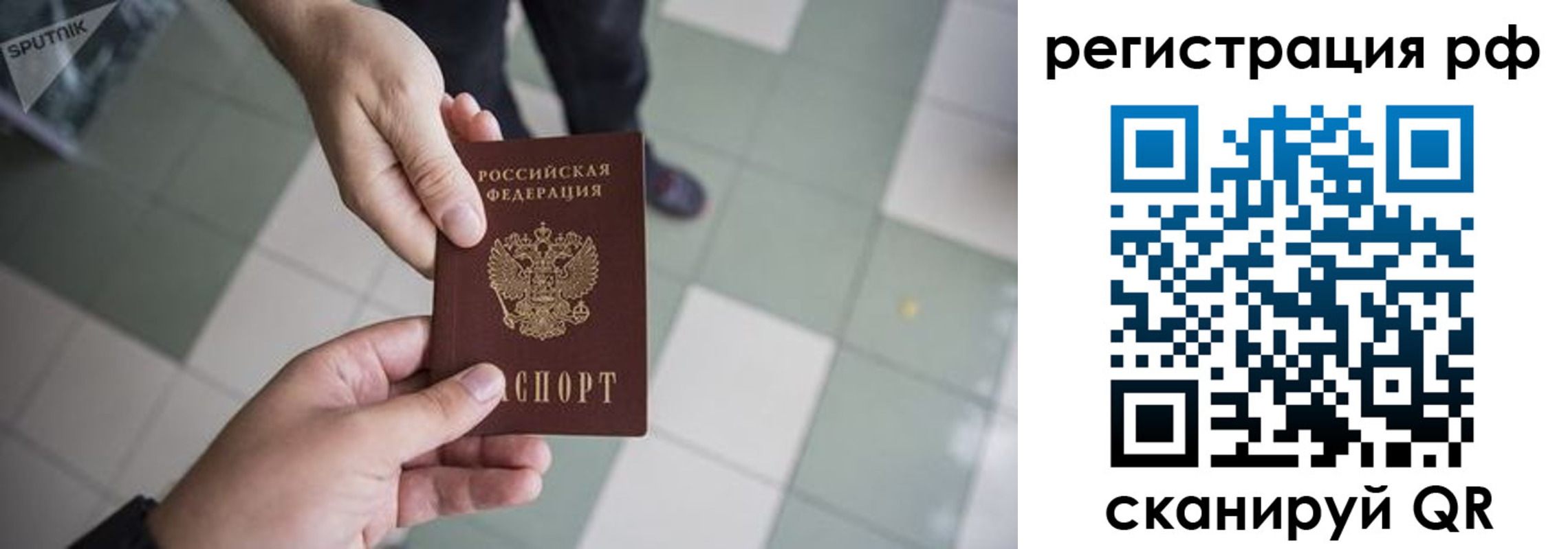 прописка гарантия в Читинской области